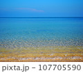 南国の海 107705590