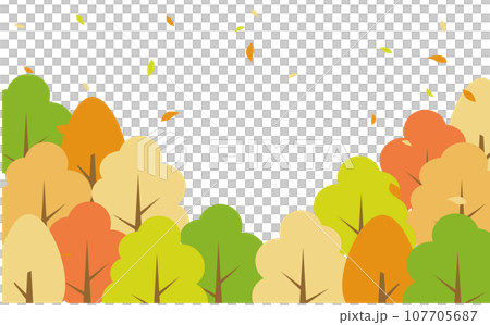 秋の森と舞い散る落ち葉 107705687