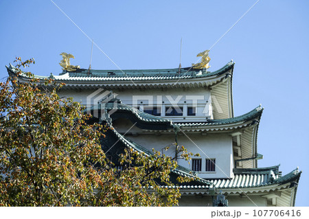 秋の名古屋城 秋の名古屋城 107706416