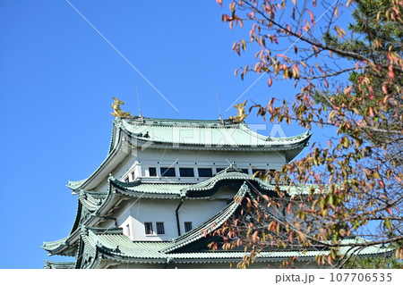 秋の名古屋城 107706535