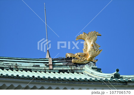 秋の名古屋城 秋の名古屋城 107706570