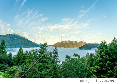 雲海 島根県 津和野 雲海 島根県 津和野 107706799