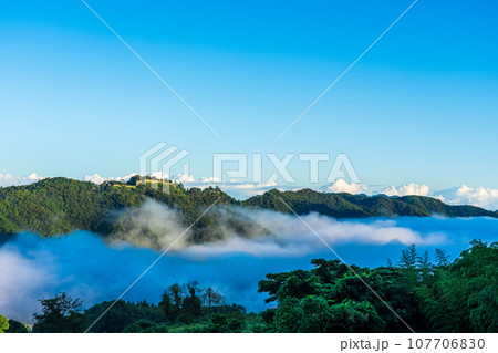 雲海　島根県　津和野　津和野城址 107706830