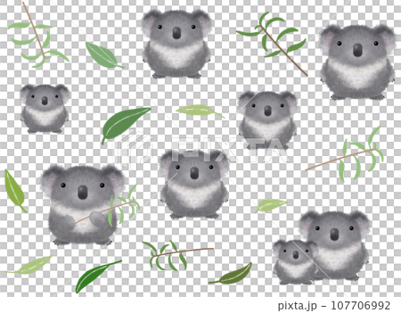 コアラのシームレスパターン B-1 PNG コアラのシームレスパターン B-1 PNG 107706992