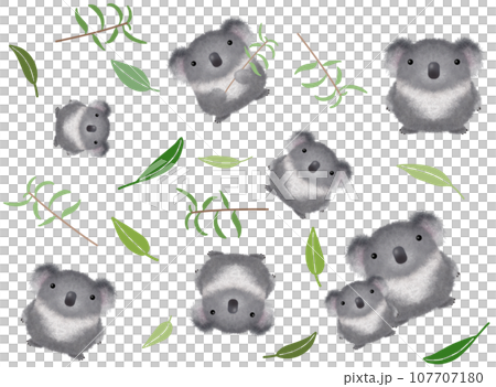 コアラのシームレスパターンC-1  PNG  107707180