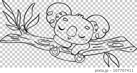 Koala on tree outline cartoon character doodle  107707411