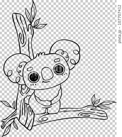 Koala on tree outline cartoon character doodle  107707412