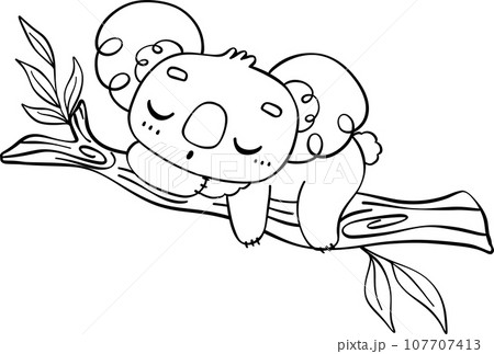 Koala on tree outline cartoon character doodle  107707413