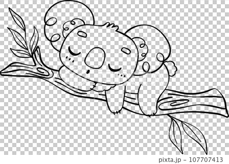 Koala on tree outline cartoon character doodle  107707413