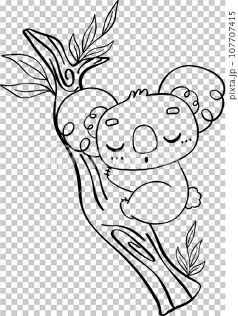 Koala on tree outline cartoon character doodle  107707415
