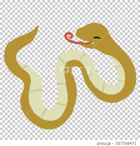 Wiggle Snake Laughing Snake Wiggle Snake Laughing Snake 107708471
