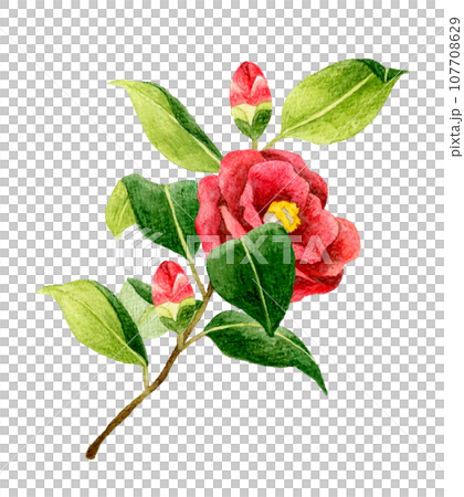 61MsYbHENrL._AC_SY200_QL15_.jpg