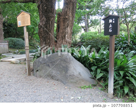 墨田区の旧安田庭園にある駒止石 107708851