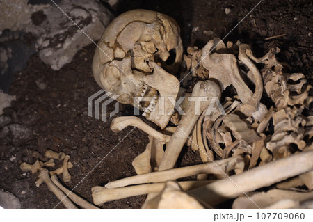 Skull and bones digged from pit in the scary graveyard of prisoners Skull and bones digged from pit in the scary graveyard of prisoners 107709060