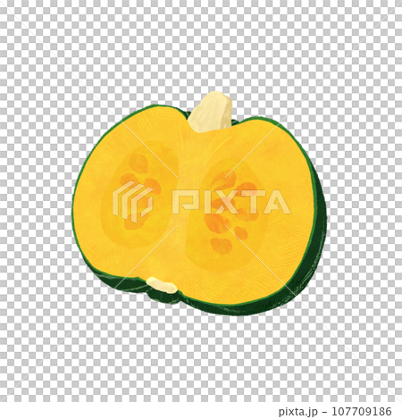 Illustration of a cross section of a pumpkin Illustration of a cross section of a pumpkin 107709186