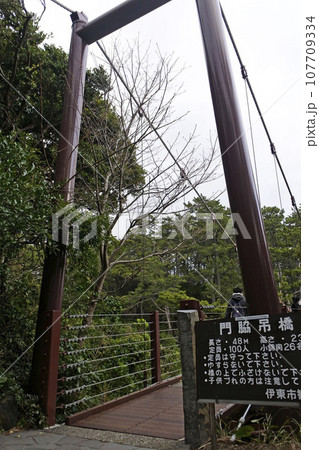 城ヶ崎海岸の門脇吊橋 107709334