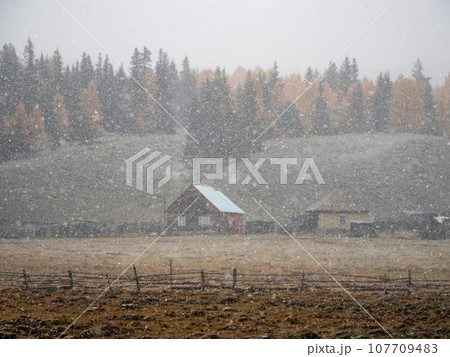 Soft focus, poor visibility. Snow during fall. Small village under the mountain. Golden autumn landscape of snowy foggy morning in the village of Belyashi, Russia, Altai Krai. Soft focus, poor visibility. Snow during fall. Small village under the mountain. Golden autumn landscape of snowy foggy morning in the village of Belyashi, Russia, Altai Krai. 107709483