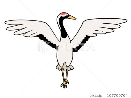 タンチョウヅル 107709704