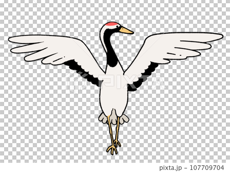 タンチョウヅル 107709704