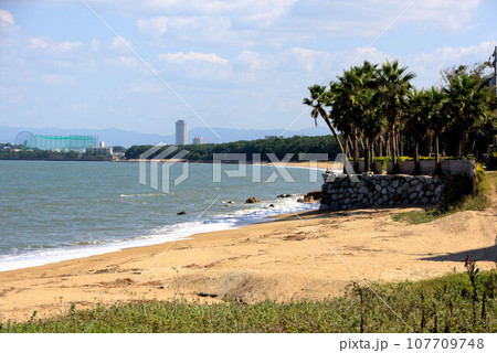 生の松原とマリノアシティ　今津湾からの風景　福岡市 107709748