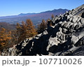 山梨県　日向山の紅葉と花崗岩 107710026