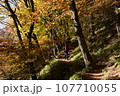 山梨県　日向山の紅葉 107710055