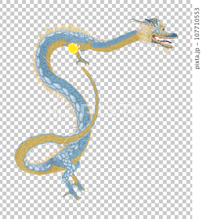 リアルな龍のイラスト 107710553