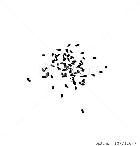 Dill Seeds Icon, Scattered Fennel Seeds Silhouette, Indian Spice Symbol on White Background Top View 107711647