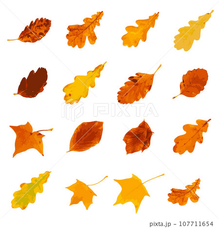 Autumn Leaf Icon Isolated, Colored Autumn Tree Leaves Symbol, Red Orange Foliage Silhouette, Fall Leaf Contour Autumn Leaf Icon Isolated, Colored Autumn Tree Leaves Symbol, Red Orange Foliage Silhouette, Fall Leaf Contour 107711654