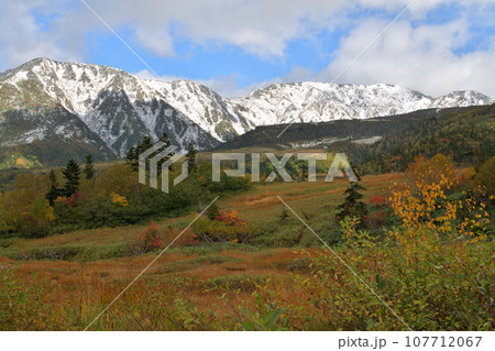 立山黒部　紅葉の弥陀ヶ原と初冠雪の大日連山 107712067
