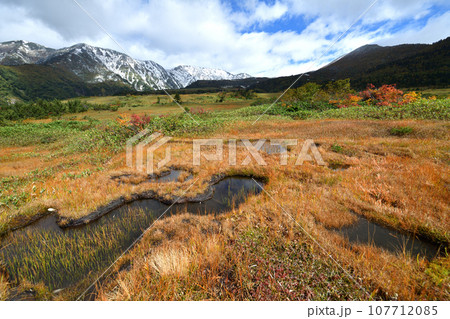 立山黒部　紅葉の弥陀ヶ原と初冠雪の大日連山 107712085