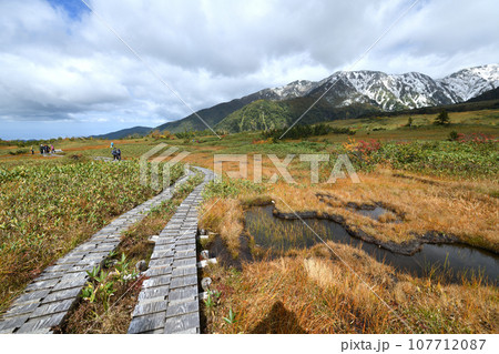 立山黒部 紅葉の弥陀ヶ原と初冠雪の大日連山 立山黒部 紅葉の弥陀ヶ原と初冠雪の大日連山 107712087