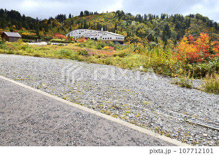 立山黒部 紅葉の弥陀ヶ原 国民宿舎と高原バス停留所 立山黒部 紅葉の弥陀ヶ原 国民宿舎と高原バス停留所 107712101