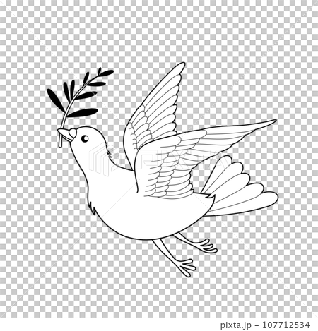 一隻白鴿 107712534