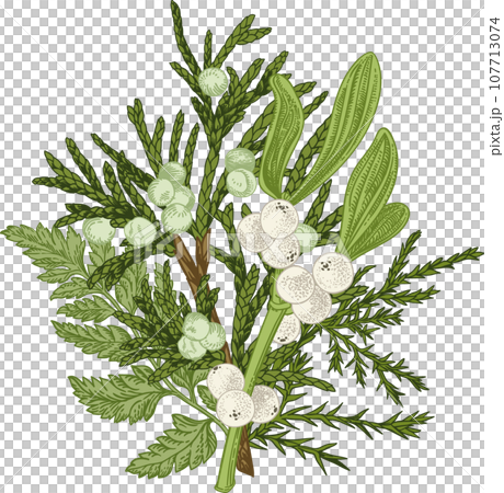 Winter bouquet. Christmas floristry. Greens. Art line style. Mistletoe, junipe, fern. Winter bouquet. Christmas floristry. Greens. Art line style. Mistletoe, junipe, fern. 107713074