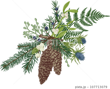 Christmas  bouquet. Winter floristry. Greens. Spruce, cone, junipe, mistletoe, thistle, fern. Art line style. 107713079