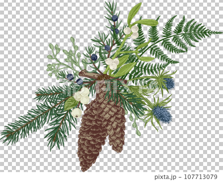 Christmas  bouquet. Winter floristry. Greens. Spruce, cone, junipe, mistletoe, thistle, fern. Art line style. 107713079