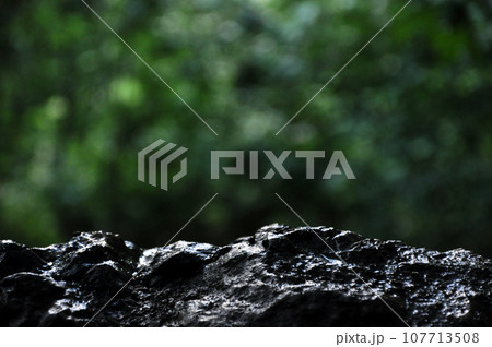 Wet limestone rock with blurry forest background in a rainy day 107713508