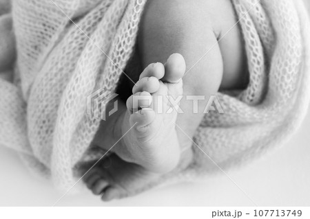 The tiny foot of a newborn baby. Soft feet of a new born in a wool blanket. Close up of toes, heels and feet of a newborn. Macro photography. Black and white The tiny foot of a newborn baby. Soft feet of a new born in a wool blanket. Close up of toes, heels and feet of a newborn. Macro photography. Black and white 107713749