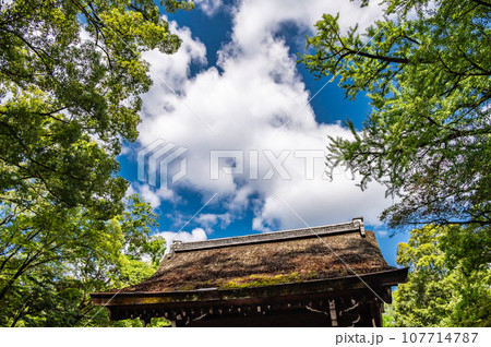 下鴨神社摂社　河合神社の藁屋根 107714787