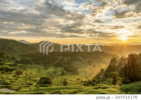 新潟県十日町市　朝日に輝く夏の星峠の棚田 107715170