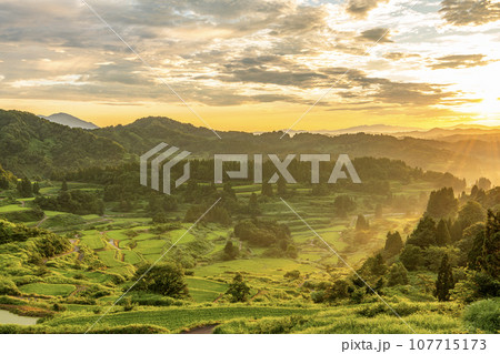 新潟県十日町市 朝日に輝く夏の星峠の棚田 新潟県十日町市 朝日に輝く夏の星峠の棚田 107715173