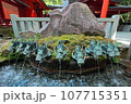 箱根九頭龍神社 107715351