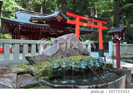 箱根九頭龍神社 107715352