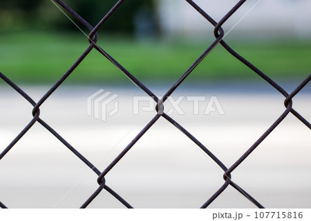 Metal mesh on the background of the road 107715816