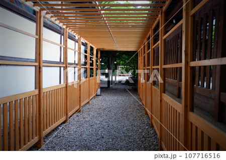 障子の道 107716516