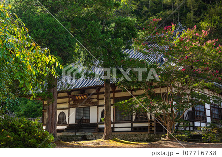 霊泉寺　上田市 107716738