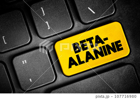 Beta-alanine is the building block of carnosine, a molecule that helps buffer acid in muscles, text button on keyboard, concept background Beta-alanine is the building block of carnosine, a molecule that helps buffer acid in muscles, text button on keyboard, concept background 107716980