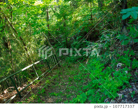 荒れた山道 107717337