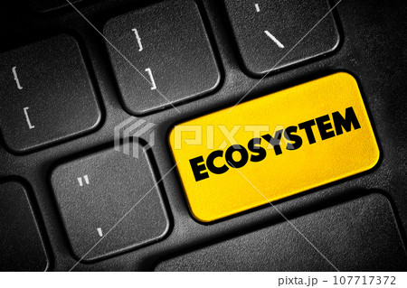 Ecosystem - consists of all the organisms and the physical environment with which they interact, text button on keyboard, concept background 107717372